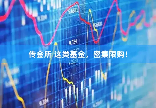 传金所 这类基金，密集限购！
