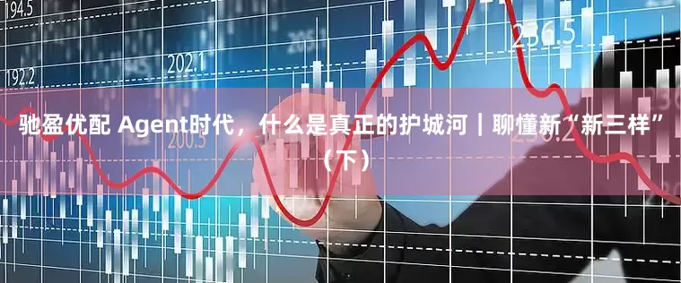 驰盈优配 Agent时代，什么是真正的护城河｜聊懂新“新三样”（下）